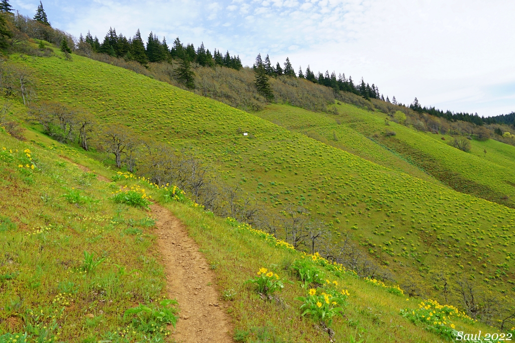 Weldon Wagon Road — Washington Trails Association